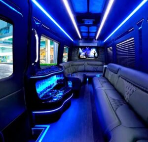16 Passengers Mercedes Sprinter Interior