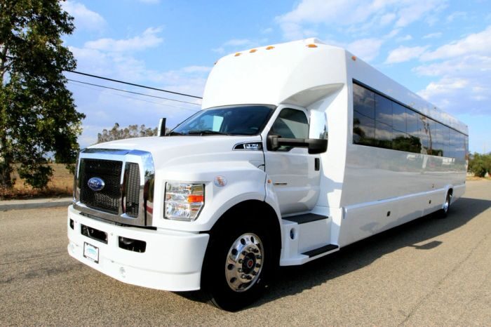 White party bus – Mead limo service