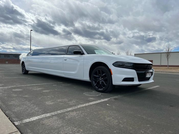 White stretch limo – Mead limo service